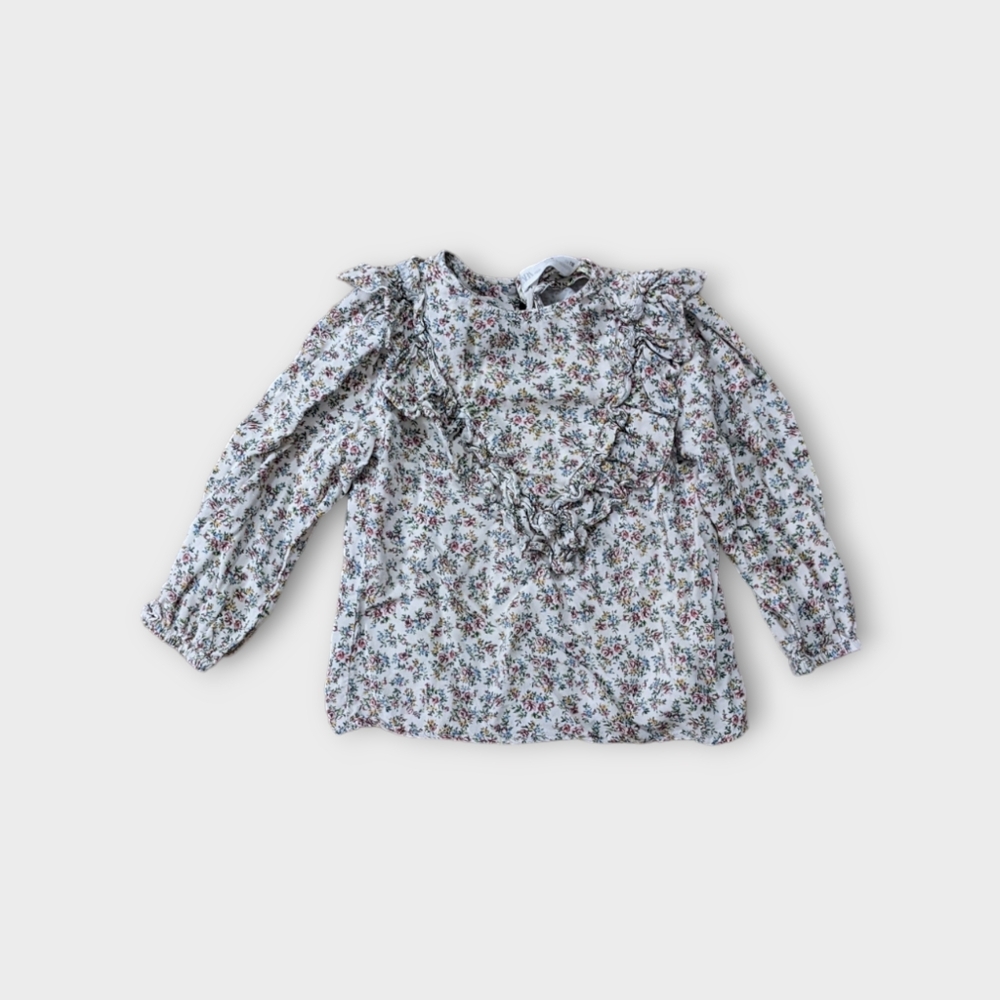 Size 6 Girl'S Zara Ruffle Floral Roses Blouse